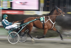 Ugly Duckling 171206-1